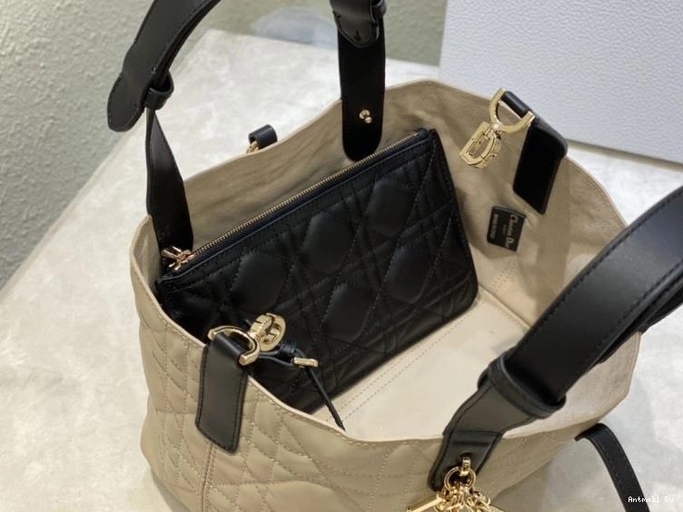 Christian Shopping NewStyle Dior Bags 66600 0712